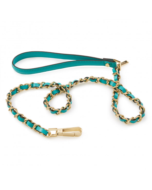 Luxury dog leash - The best for your dog