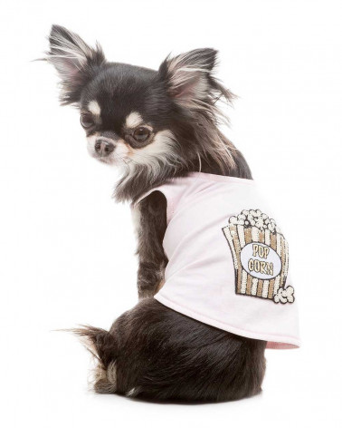 Hochwertige Hundeshirts - Premium Marken