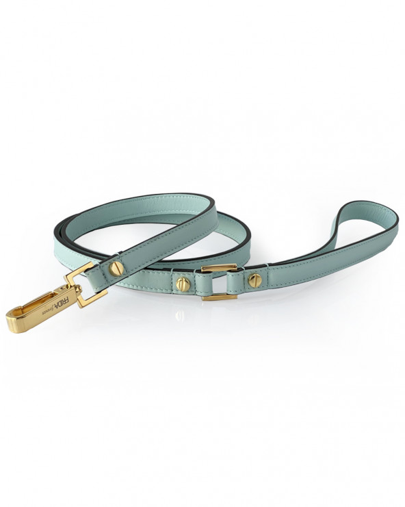 Luxury dog leash - The best for your dog