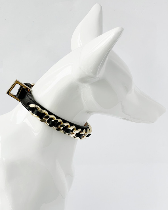 Beautiful Dog Collar - Luxury Dog Products