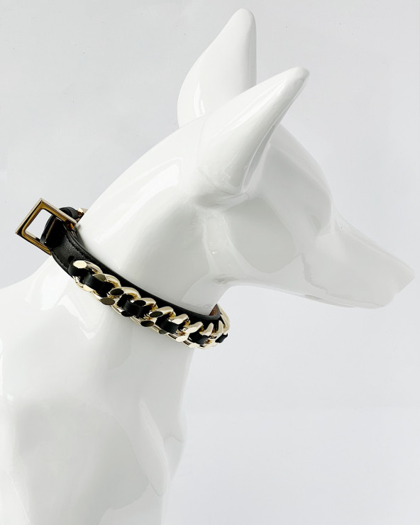 Hundehalsband Bestseller - Luxus für Hunde DER BLOG