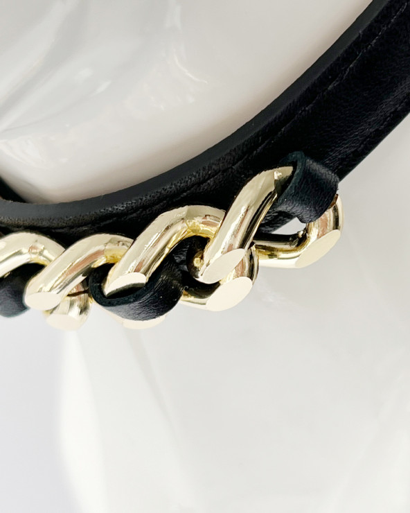 Beautiful Dog Collar - Luxury Dog Products