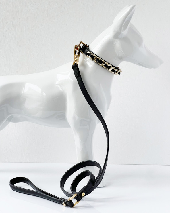 Hundehalsband Bestseller - Luxus für Hunde DER BLOG