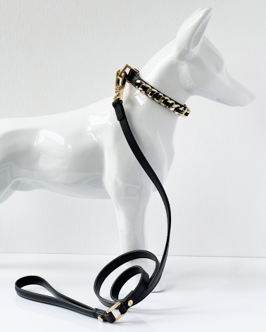 Beautiful Dog Collar - Luxury Dog Products