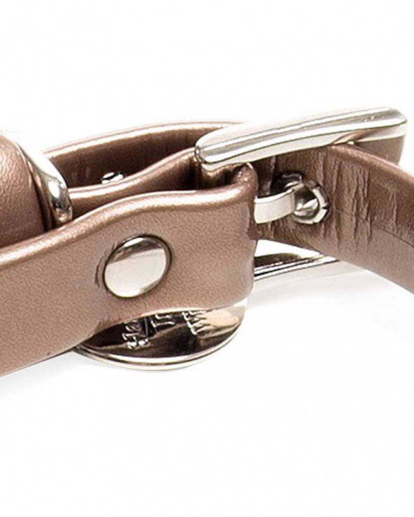 Luxury Collars for Dogs - Free Shipping