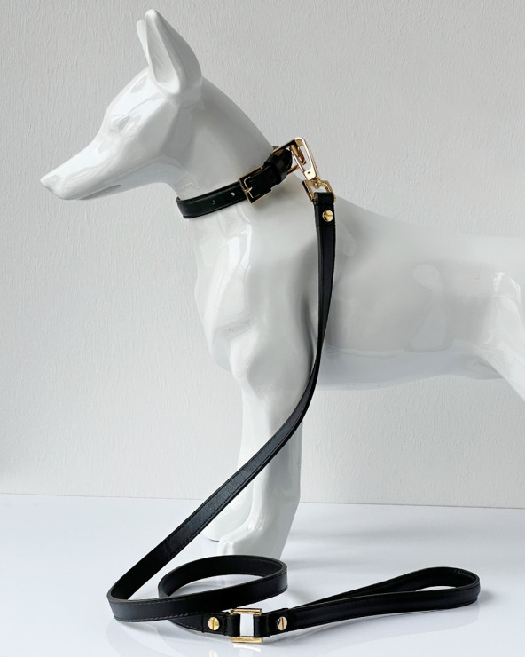 Wunderschönes Hundehalsband - Luxus Hundeprodukte