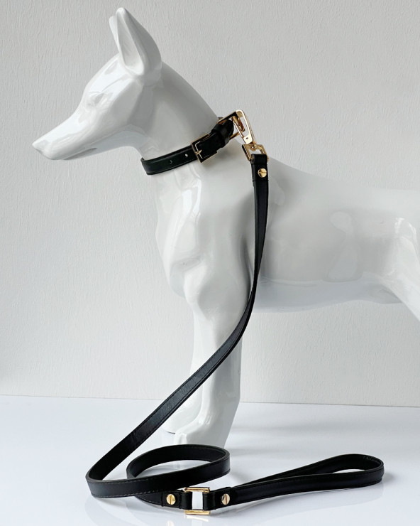 Hundehalsband Bestseller - Luxus für Hunde DER BLOG