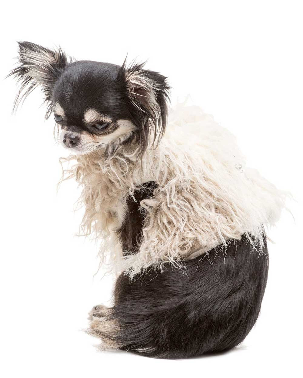 Luxury Dog Harness - Free Shipping