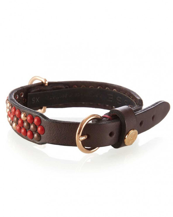 Eddy Barkin - Buy collars for dogs