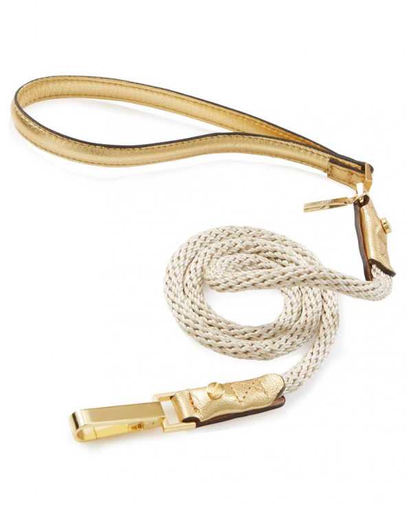 Luxury dog leash - The best for your dog