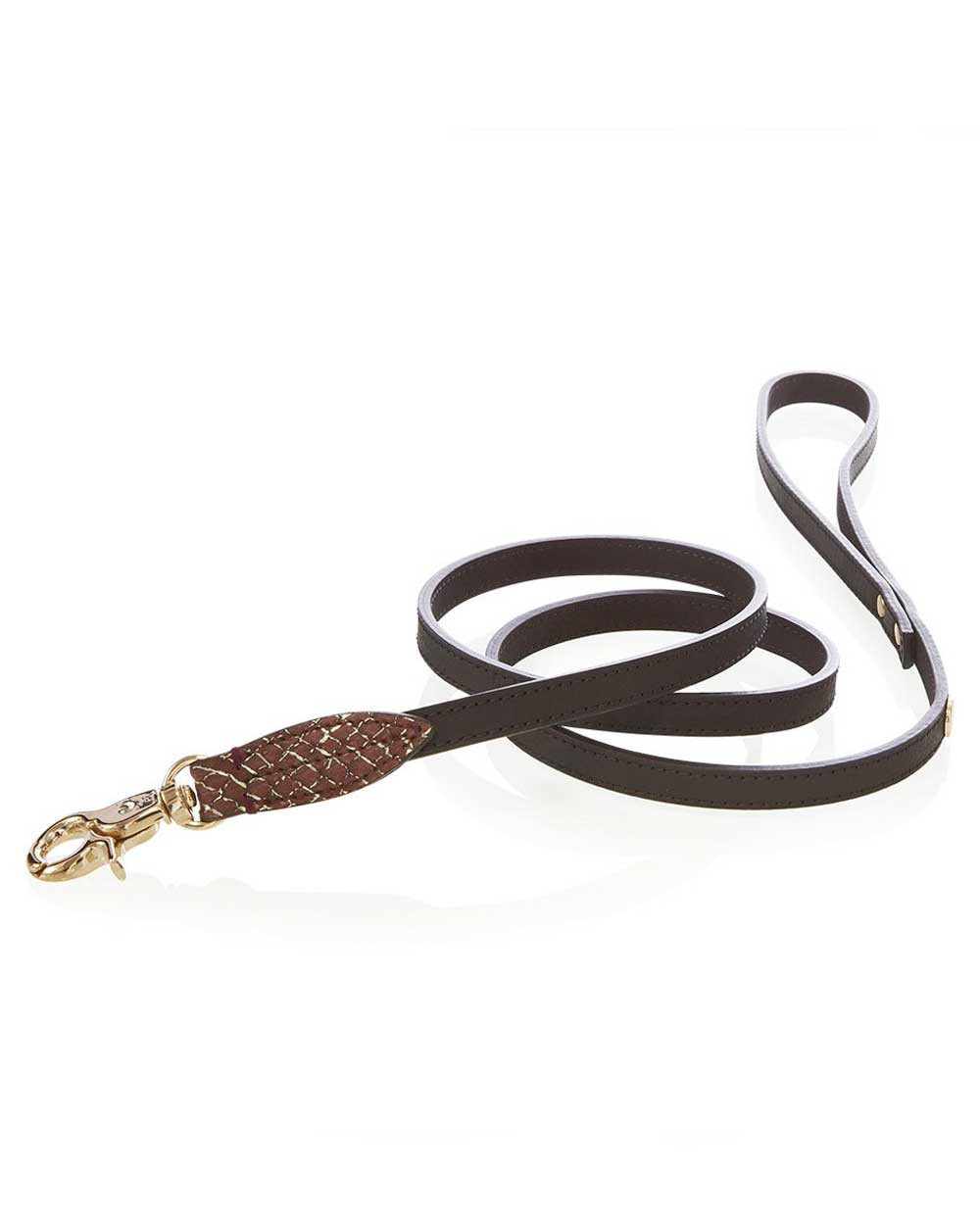 Luxury dog leash - Made in Europe