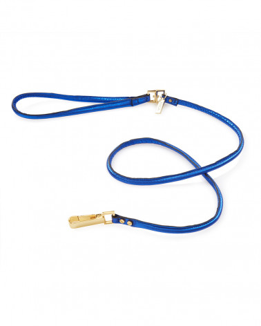 Luxury dog leash - The best for your dog