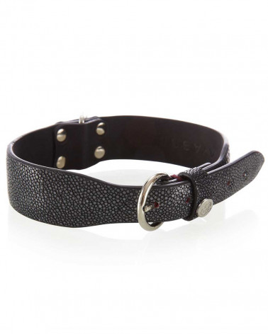 Dog collar Ayasse leather Angel Stone