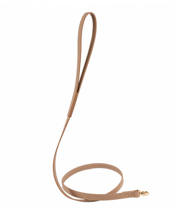 Luxury dog leash - The best for your dog from MOSHIQA