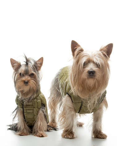 Cosy Luxury Down Jacket - Dog Products