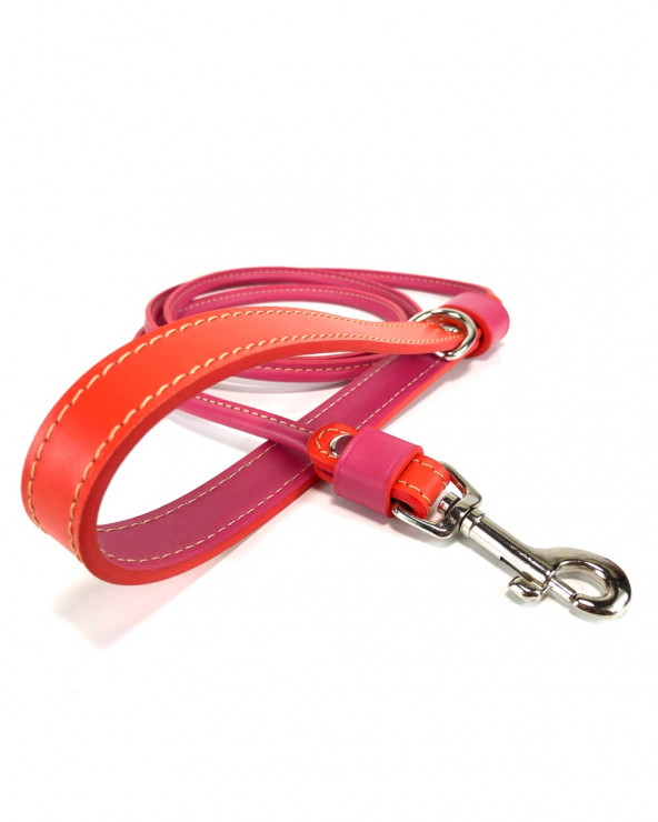 Luxury dog leash - The best for your dog