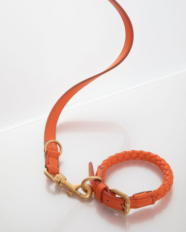 Beautiful dog collar in 4 trendy colors