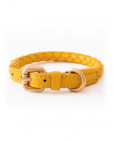 Beautiful dog collar in 4 trendy colors