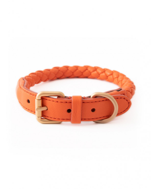 Beautiful dog collar in 4 trendy colors