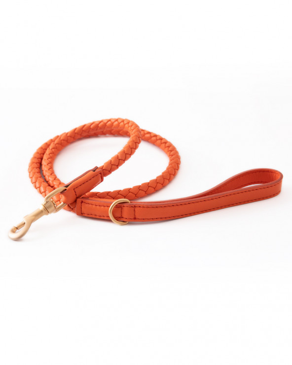 Leather leash in timeless design.