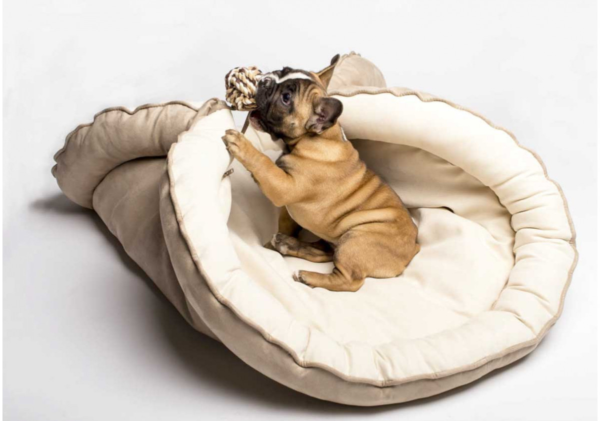 Sleep Well - Die besten Hundebetten